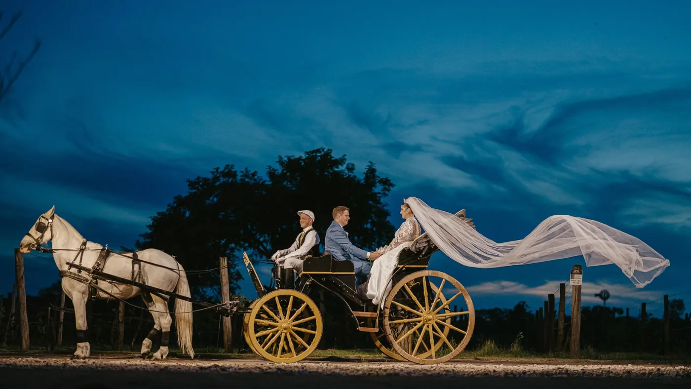 Carruagem Victoria Inglesa com cavalo branco ao entardecer, com o véu da noiva ao vento