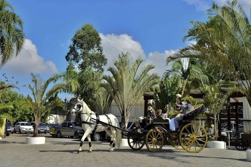 Carruagem Victoria com cocheiro e cavalo branco atravessando pátio com palmeiras sob céu azul