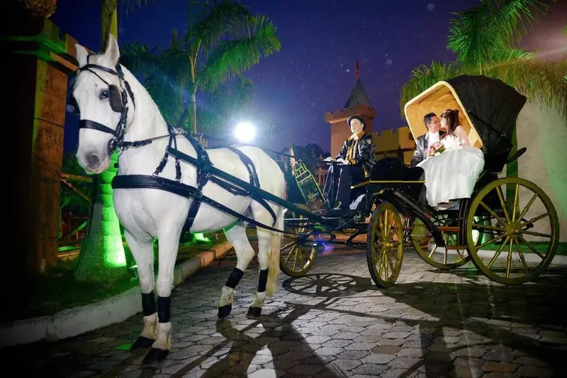 Cavalo branco e carruagem Victoria de rodas douradas à noite, casal sentado na capota aberta