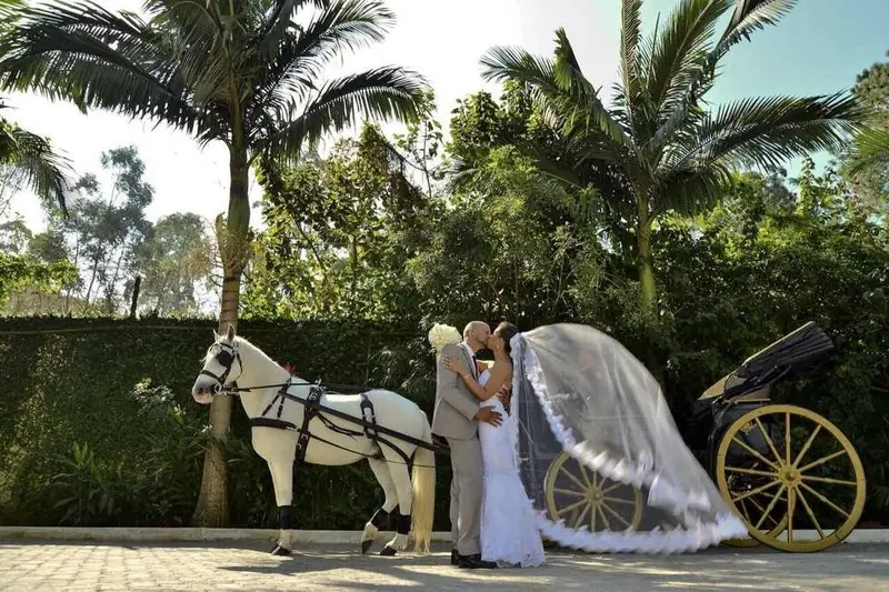 Casal de noivos com véu longo ao lado do cavalo branco e da carruagem de rodas douradas em jardim